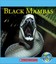 Black Mambas by Vicky Franchino (English) Paperback Book Free Shipping!