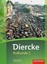 Diercke Erdkunde / Diercke Erdkunde - Ausgabe 2016 für Realschulen plus in Rhein