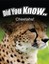 Cheetahs by Satori, Breanne 9781495340802 -Paperback