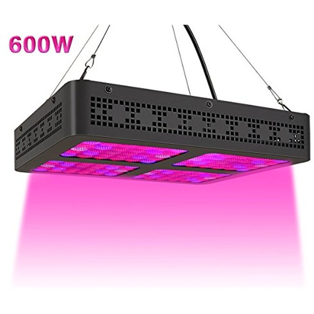 600w Led Grow Light Dxgrow Full Spectrum Growing Lamp With Daisy 600w Led Grow Light Dxgrow Full Spectrum Growing Lamp With Daisy Chain Function