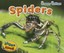 Spiders (Creepy Critters) by Sian Smith.