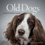 Old Dogs: Lessons in Loving & Ageing by Suzanne McCourt Paperback Book Free Ship