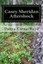 NEW Casey Sheridan Aftershock by Debra Cates-Boyd