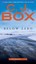 Below Zero (Joe Pickett Novels) by C. J. Box.