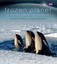 FROZEN PLANET by Alastair Fothergill Hardcover FREE SHIP to OZ 9781846079627