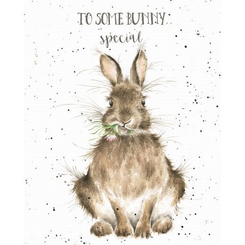 wrendale designs happy birthday greeting card rabbit some bunny special ebay wrendale designs happy birthday greeting card rabbit some bunny special ebay