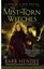 The Mist-Torn Witches by Barb Hendee.
