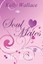 NEW Soul Mates: Finding And Keeping Mr. Right by Kelly Wallace