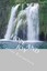 NEW Hope and Joy by Dorita Lynn Kornelsen