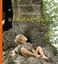 Dich behütet ein wachsamer Engel Gerhard Jan Rötting Buch Deutsch 2011