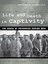 Life and Death in Captivity: The Abuse of Prisoners Dur - Hardcover NEW Geoffrey