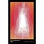 HANDMAID'S TALE (VINTAGE FUTURE) ATWOOD,MARGARET