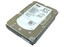 NEU FESTPLATTE DELL 0XX518 146GB SAS 3Gb/s 15K 16MB 3.5''