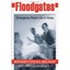 Floodgates: Emergency Room Life in Verse Bertrand P. Fote