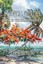 NEW A Tropical Frontier by Dr Tim Robinson BOOK (Paperback / softback) Free P&H