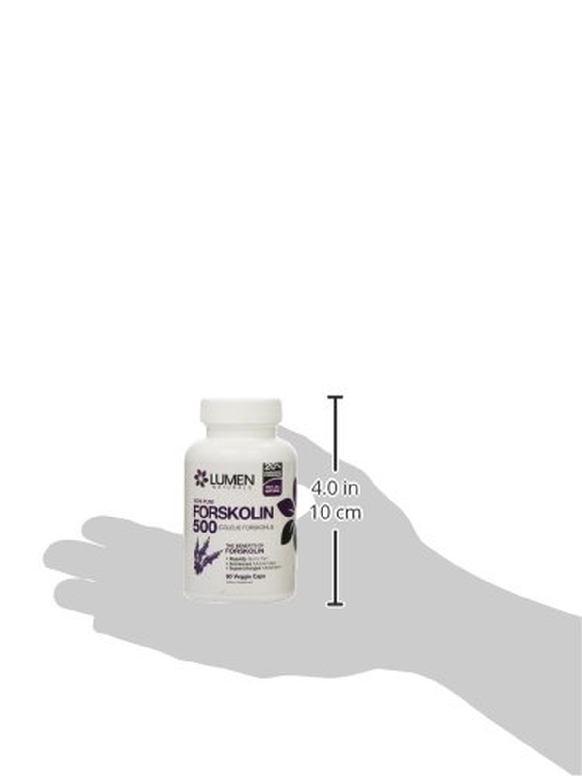 How can i lose fat on stomach image 8