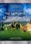 The Happiness of the Katakuris - DVD/NEU/OVP