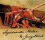 Sagschneider Malan & Jungstreich - D' Freid An Der Musi